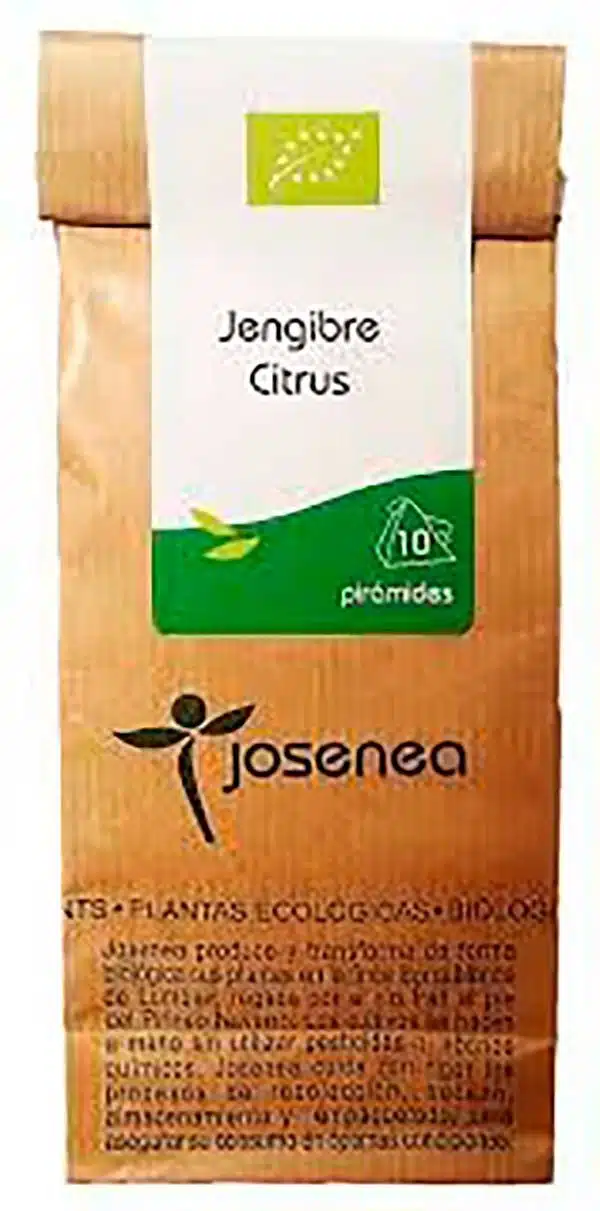 Hierbas - Jengibre Citrus BIO pirámides