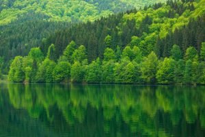 Sostenibilidad: consejos para ahorrar energía en el hogar