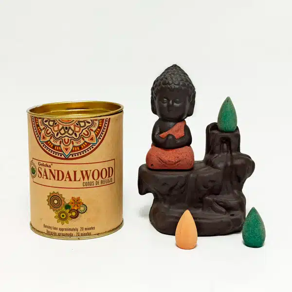 Conos de Reflujo Goloka. Sandalwood (Lata con 18 conos) - Imagen 2