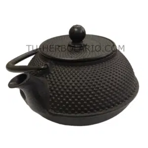 Tetera Iwachu Chai