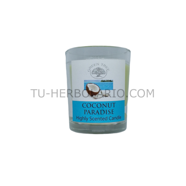 Vela de Gran Fragancia Green Tree - Coco