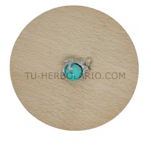Colgante garra de acero con turquesa