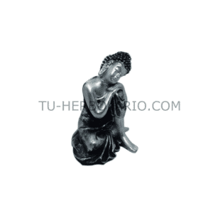 Figura Budha
